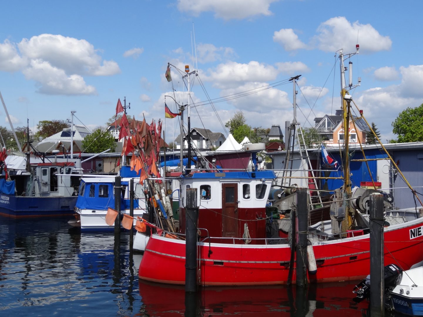 Niendorf Hafen scaled